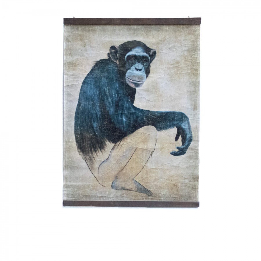 SINGE - PAN TROGLODYTES (150x200cm) SINGE - PAN TROGLODYTES (150x200cm)